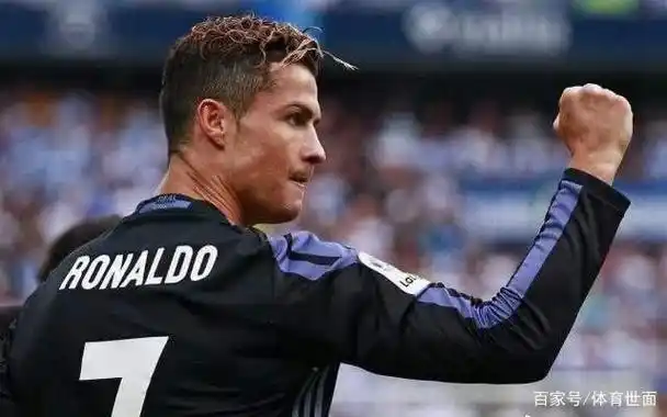 具备极强的 具备极强的