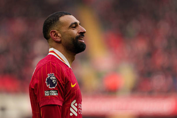 他果断地在 他果断地在